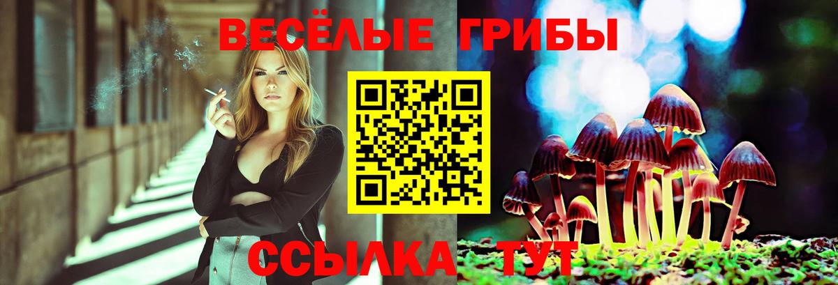 Галлюциногенные грибы Psilocybine cubensis  Вход с VPN  Балашиха 